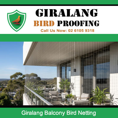 Balcony bird netting installed on modern apartment building in Giralang Canberra