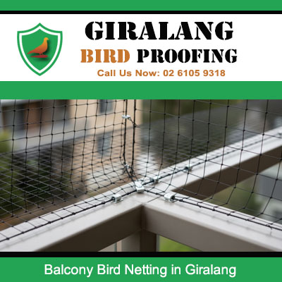 Balcony bird netting close up showing mesh installation detail in Giralang