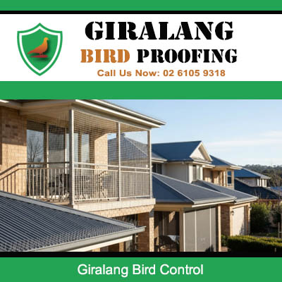 Bird control solutions protecting residential rooftops in Giralang Canberra suburb