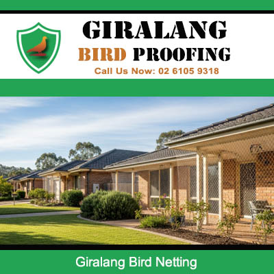 Bird netting installed on residential home protecting outdoor areas in Giralang ACT