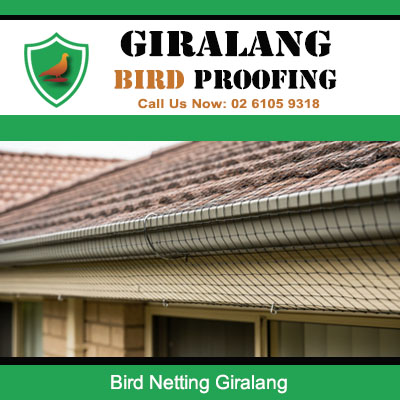 Bird netting installed in roof gutters on residential home in Giralang Canberra