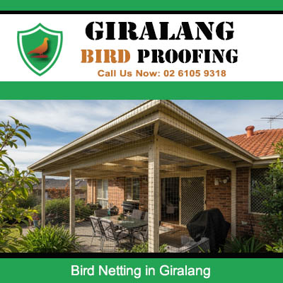 Bird netting installed over outdoor patio area on residential home in Giralang Canberra