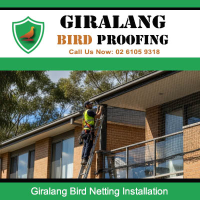 Bird netting installation being performed on residential balcony in Giralang Canberra