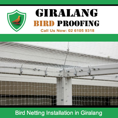 Expert bird netting installation service on commercial premises in Giralang area
