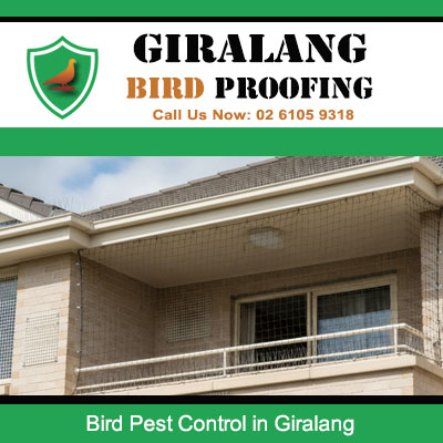 Bird pest control protection installed on modern home balcony in Giralang Canberra