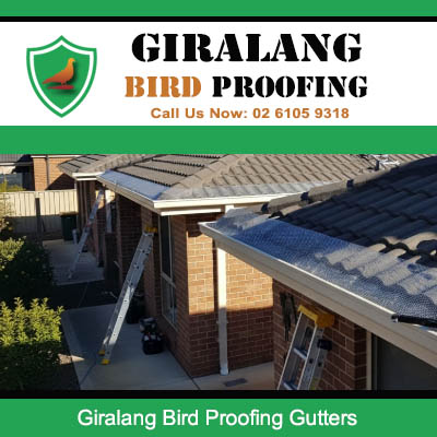 Bird proofing gutters with protective mesh on residential roofs in Giralang