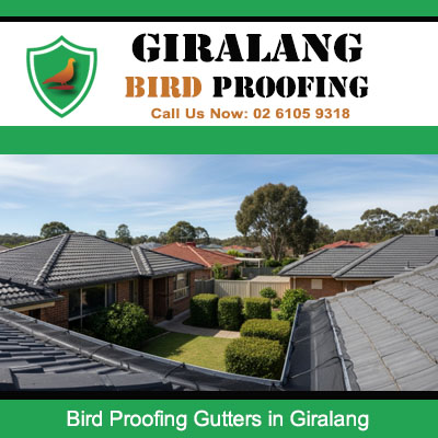 Bird proofing gutters completed on residential homes in Giralang Canberra neighborhood