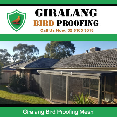 Bird proofing mesh installed on residential patio and outdoor area in Giralang Canberra