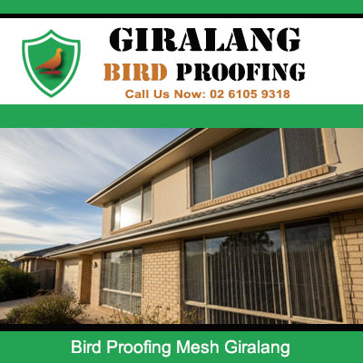 Professional bird proofing mesh protecting residential property exterior in Giralang ACT