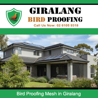 Quality bird proofing mesh system fitted to contemporary residence at Giralang property