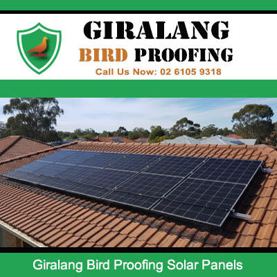 Bird proofing solar panels installed on residential roof in Giralang Canberra