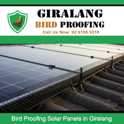 Close up of bird proofing installed under solar panels in Giralang ACT