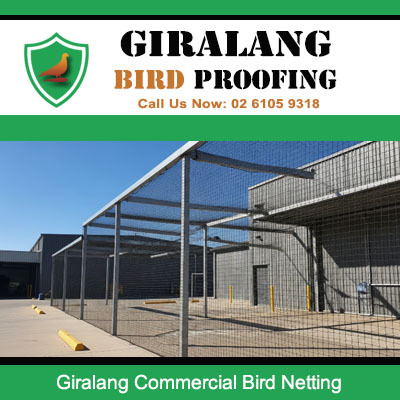 Commercial bird netting installed on industrial warehouse building in Giralang Canberra