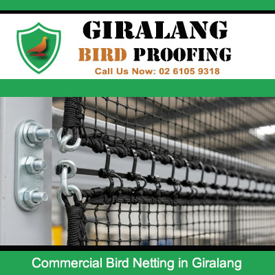 Close up of commercial bird netting mounting system used in Giralang ACT